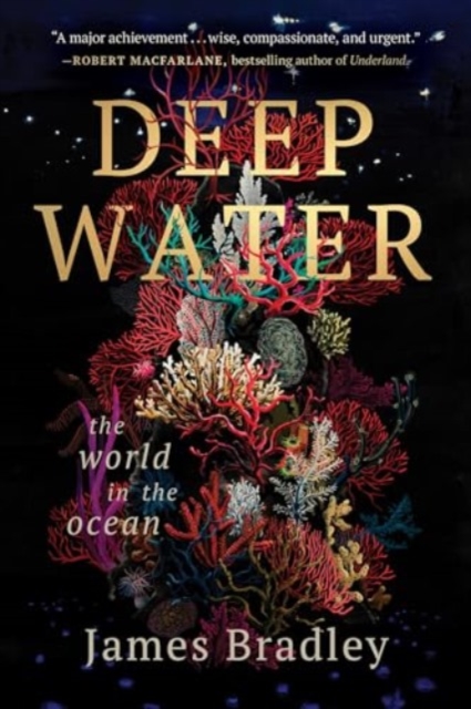 Deep Water : The World in the Ocean, Paperback / softback Book