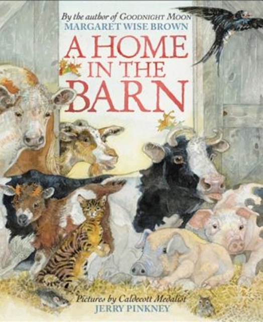 A Home in the Barn, Hardback Book