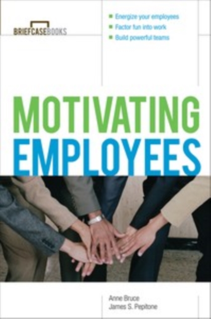 Motivating Employees, PDF eBook