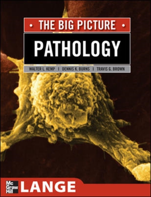 Pathology: The Big Picture, EPUB eBook