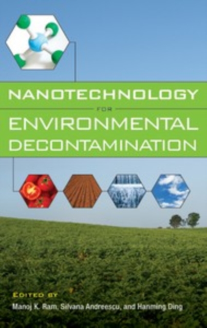 Nanotechnology for Environmental Decontamination, EPUB eBook