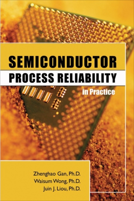 Semiconductor Process Reliability in Practice, EPUB eBook