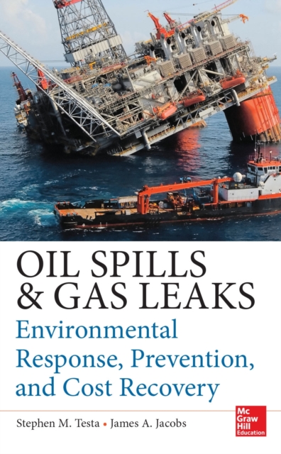 Oil Spills and Gas Leaks: Environmental Response, Prevention and Cost Recovery, EPUB eBook