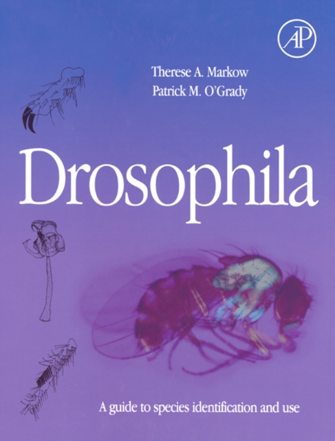 Drosophila : A Guide to Species Identification and Use, EPUB eBook