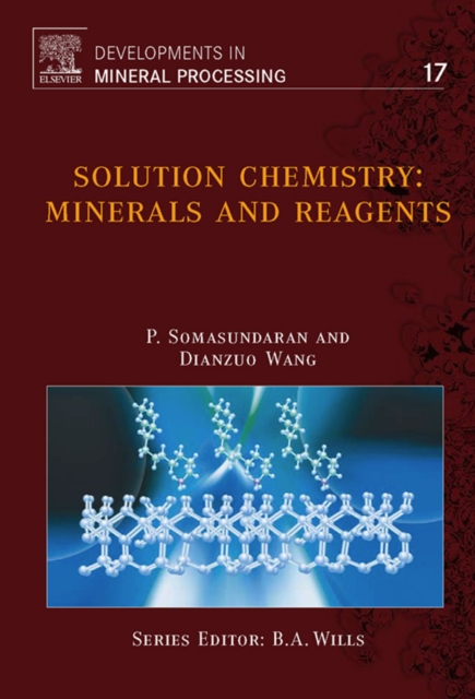 Solution Chemistry : Minerals and Reagents, PDF eBook
