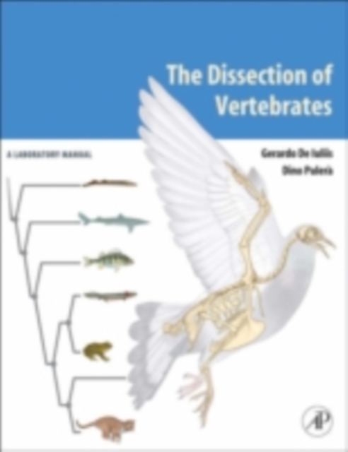 The Dissection of Vertebrates : A Laboratory Manual, PDF eBook