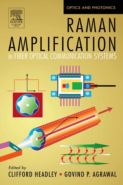 Raman Amplification in Fiber Optical Communication Systems, PDF eBook