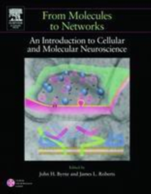 From Molecules to Networks : An Introduction to Cellular and Molecular Neuroscience, PDF eBook
