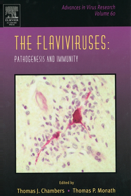 The Flaviviruses: Pathogenesis and Immunity, PDF eBook
