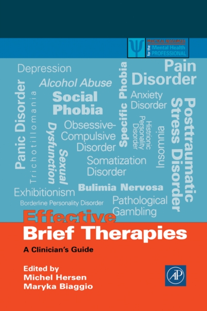 Effective Brief Therapies : A Clinician's Guide, PDF eBook