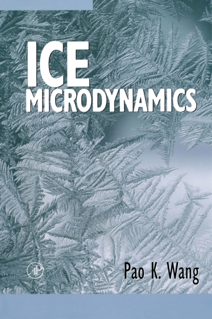 Ice Microdynamics, PDF eBook