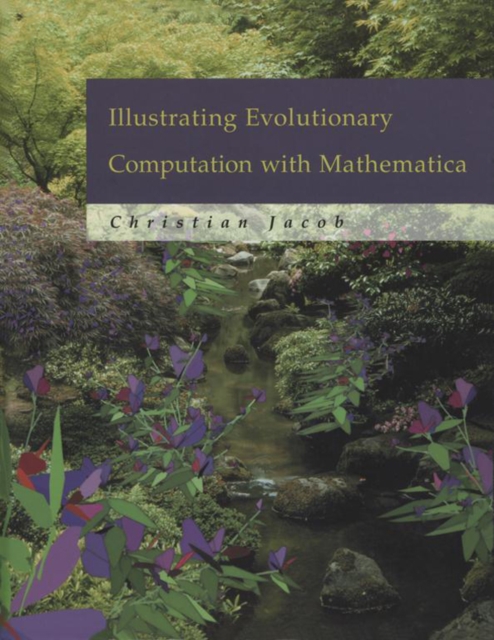 Illustrating Evolutionary Computation with Mathematica, EPUB eBook