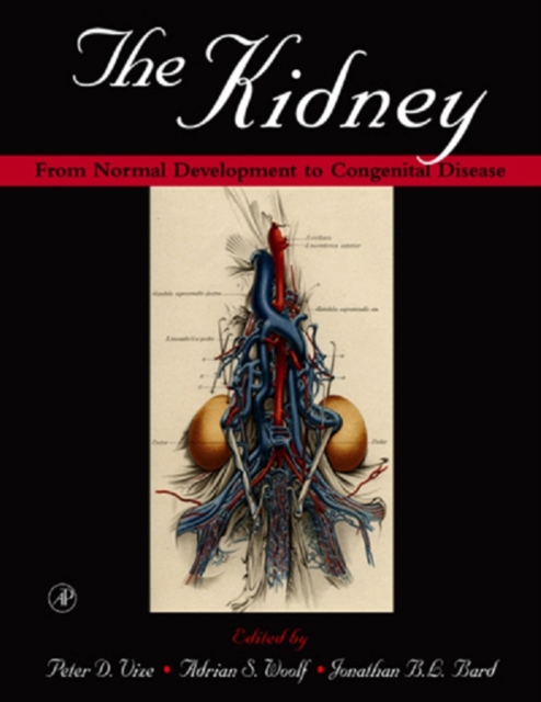 The Kidney : From Normal Development to Congenital Disease, EPUB eBook