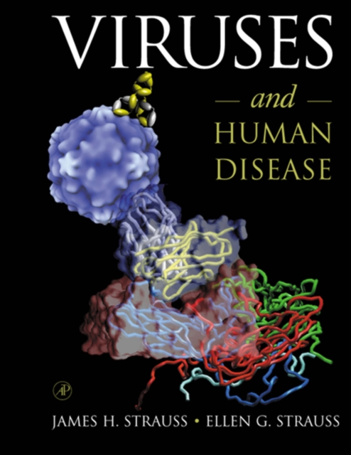Viruses and Human Disease, PDF eBook