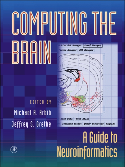 Computing the Brain : A Guide to Neuroinformatics, PDF eBook