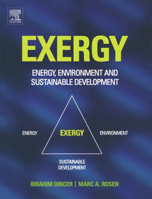 Exergy : Energy, Environment and Sustainable Development, EPUB eBook