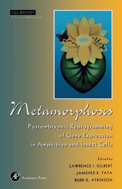 Metamorphosis : Postembryonic Reprogramming of Gene Expression in Amphibian and Insect Cells, PDF eBook