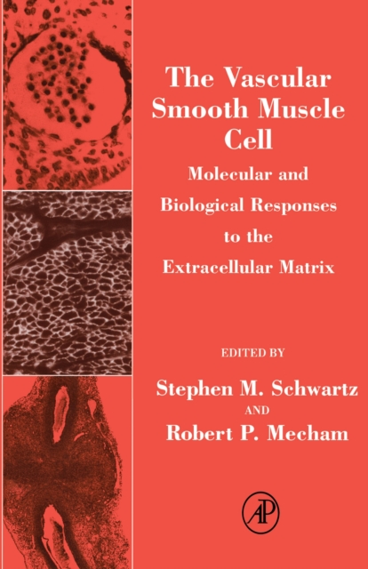 The Vascular Smooth Muscle Cell : Molecular and Biological Responses to the Extracellular Matrix, PDF eBook