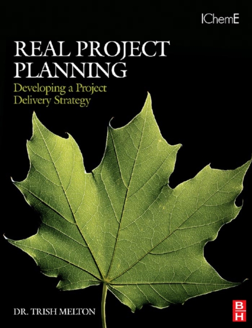 Real Project Planning: Developing a Project Delivery Strategy, PDF eBook