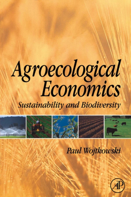 Agroecological Economics : Sustainability and Biodiversity, PDF eBook