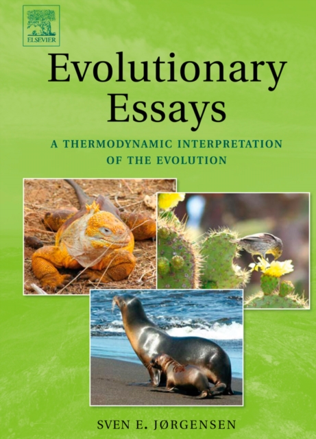 Evolutionary Essays : A Thermodynamic Interpretation of the Evolution, PDF eBook