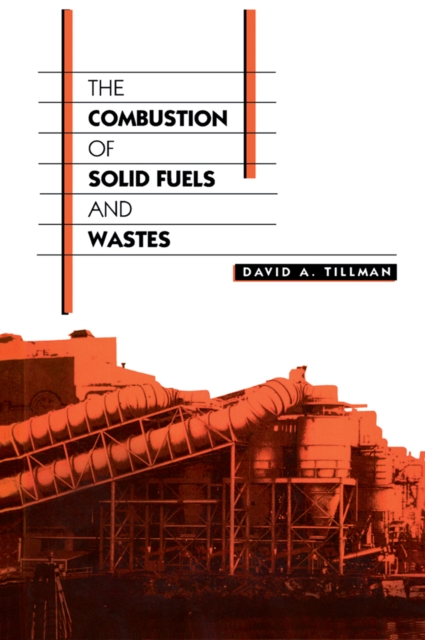 The Combustion of Solid Fuels and Wastes, PDF eBook
