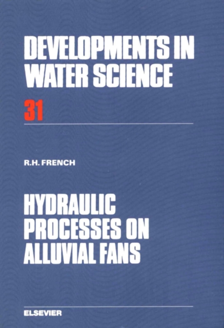 Hydraulic Processes on Alluvial Fans, PDF eBook