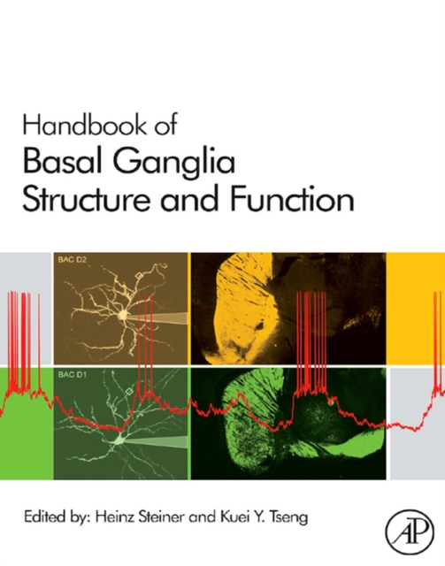 Handbook of Basal Ganglia Structure and Function, EPUB eBook