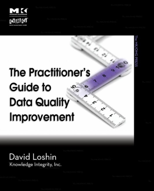The Practitioner's Guide to Data Quality Improvement, EPUB eBook