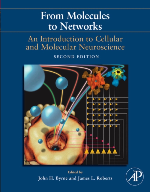 From Molecules to Networks : An Introduction to Cellular and Molecular Neuroscience, EPUB eBook