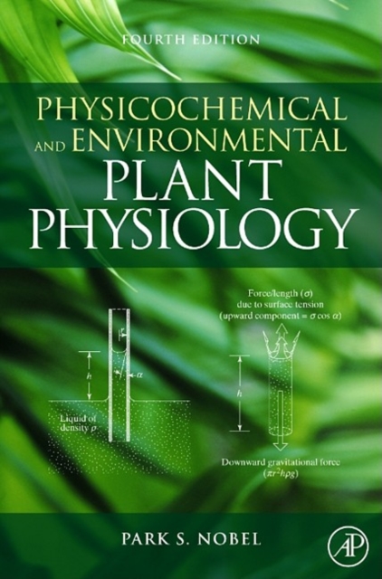Physicochemical and Environmental Plant Physiology, EPUB eBook