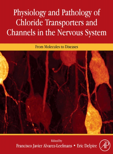 Physiology and Pathology of chloride transporters and channels in the nervous system : From molecules to diseases, PDF eBook