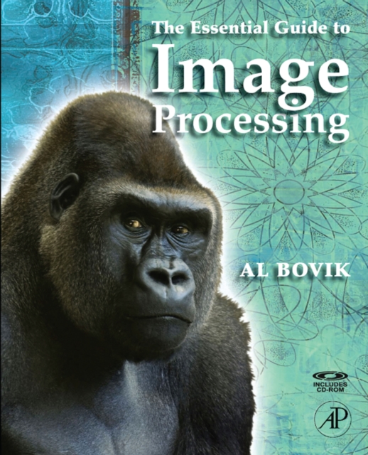 The Essential Guide to Image Processing, EPUB eBook