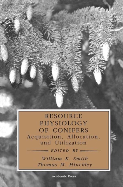 Resource Physiology of Conifers : Acquisition, Allocation, and Utilization, EPUB eBook