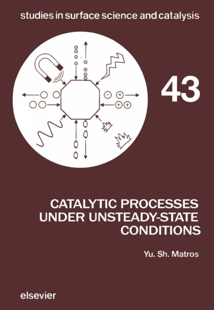 Catalytic Processes Under Unsteady-State Conditions, PDF eBook