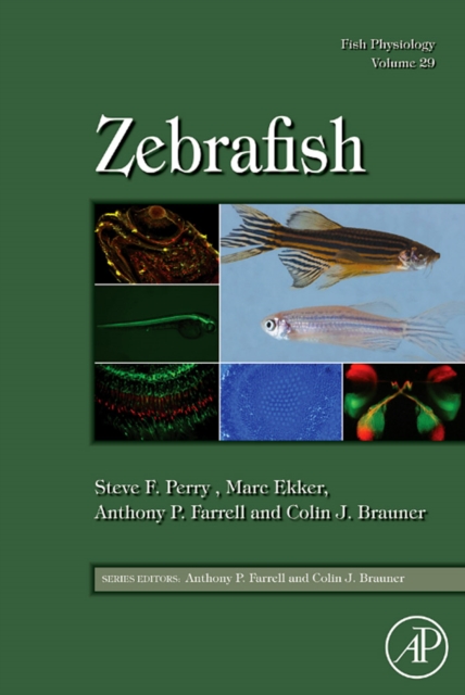 Fish Physiology: Zebrafish, PDF eBook