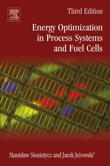 Energy Optimization in Process Systems and Fuel Cells, EPUB eBook