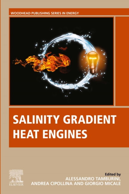 Salinity Gradient Heat Engines, EPUB eBook