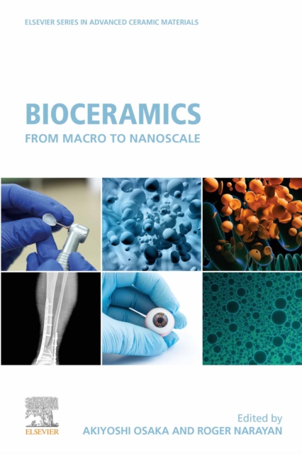 Bioceramics : From Macro to Nanoscale, EPUB eBook