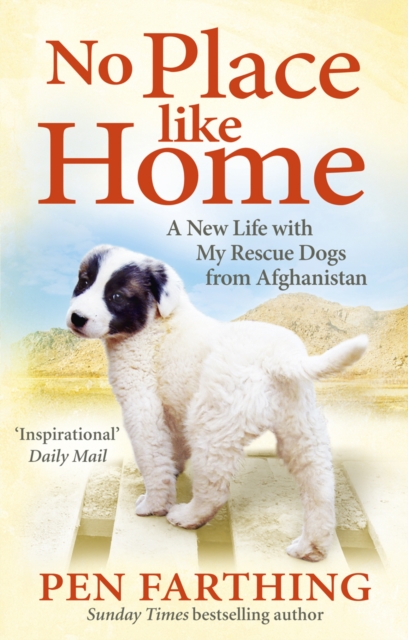No Place Like Home : A New Beginning with the Dogs of Afghanistan, Paperback / softback Book