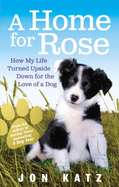A Home for Rose : How My Life Turned Upside Down for the Love of a Dog, Paperback / softback Book