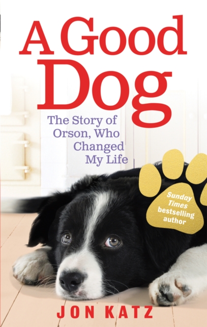 A Good Dog : The Story of Orson, Who Changed My Life, Paperback / softback Book