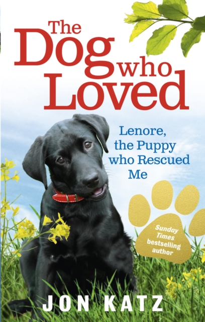 The Dog who Loved : Lenore, the Puppy who Rescued Me, Paperback / softback Book