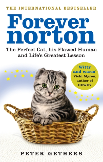 Forever Norton : The Perfect Cat, his Flawed Human and Life's Greatest Lesson, Paperback / softback Book
