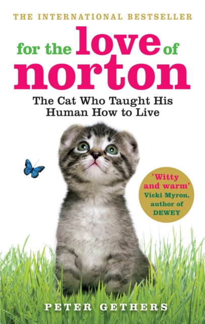 For the Love of Norton : The Cat who Taught his Human How to Live, Paperback / softback Book