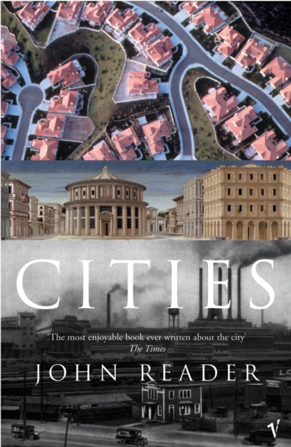 Cities, Paperback / softback Book