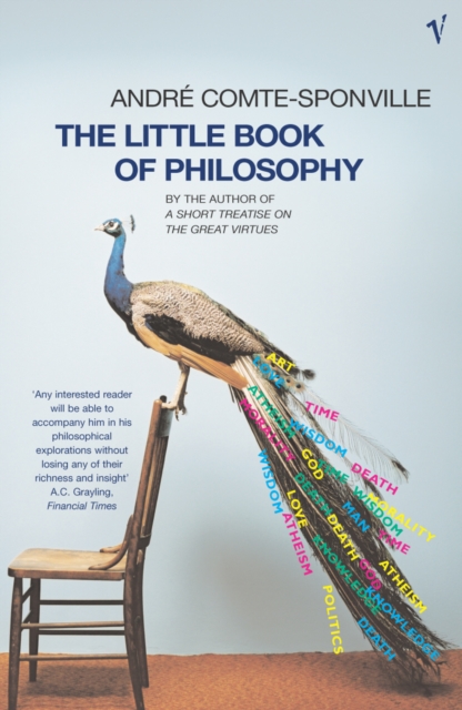 The Little Book Of Philosophy, Paperback / softback Book