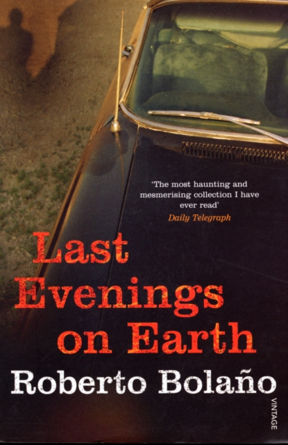 Last Evenings On Earth, Paperback / softback Book
