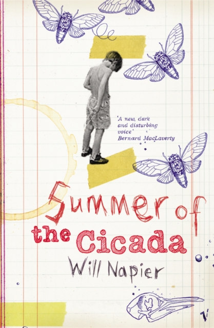 Summer Of The Cicada, Paperback / softback Book