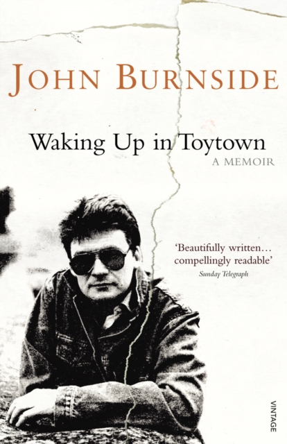 Waking Up in Toytown : A Memoir, Paperback / softback Book